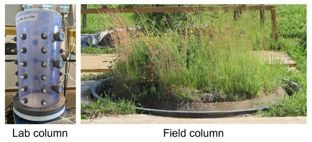 Example of soil columns in the field and in the lab