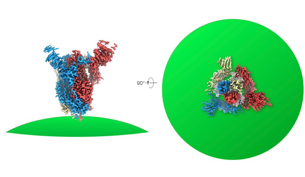 La protéine Spike du SARS-Cov-2 photographiée par irradiation dans le microscope Titan G4 qui nous en révèle une image atomique jamais vue. © DCI Lausanne