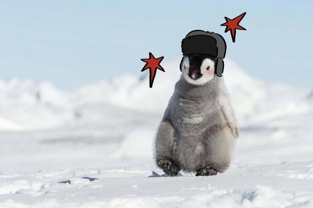 whatsapp image 2026 02 04 at 13.43.27 (5)