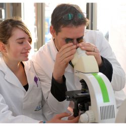 Au microscope, Lucie et son père Serge observent des cellules colorées au bleu de méthylène. Ce dernier permet de rendre l’ADN bien visible. Photo Nicole Chuard.