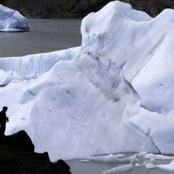 Blocs du glacier Grey détachés. © Fabrice Ducrest
