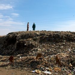 Niamey (Niger), Ceinture Verte. Cette dernière sert de dépotoir officieux à Niamey, qui souffre d’un problème certain d’évacuation des déchets. Certaines couches d’ordures, où se baladent des chèvres, sont si épaisses qu’on les appelle fissi-étages. Fissi pour ordures en zarma, et étages pour évoquer la notion de bâtiment. Une économie parallèle de recyclage s'est mise en place. Photo Maurice Ascani