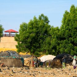 Niamey (Niger), Ceinture Verte. Le long de cette dernière cohabitent plusieurs populations. Des villas ont poussé comme des champignons. Elles côtoient parfois des paillotes habitées par des populations temporaires, qui retournent à l’intérieur du pays, dans les villages, à la saison des pluies (juin à septembre). Photo Maurice Ascani