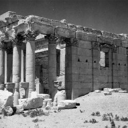 Palmyre (Syrie), entre 1954 et 1956. Cette photographie du temple de Baalshamin a été prise lors de la campagne de fouilles menée par l’archéologue suisse Paul Collart. © Fonds Photographique Paul Collart / IASA - UNIL