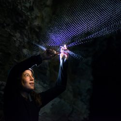 Laura Clément recueille un minioptère de Schreibers. La femelle est portante, du jamais vu en 13 ans d’exploration des grottes. Photo F. Ducrest © UNIL