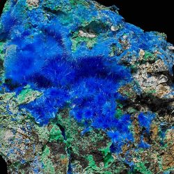 Cette cyanotrichite d’un bleu intense vient d’Arizona. Photos © Stefan Ansermet / Musée cantonal de géologie
