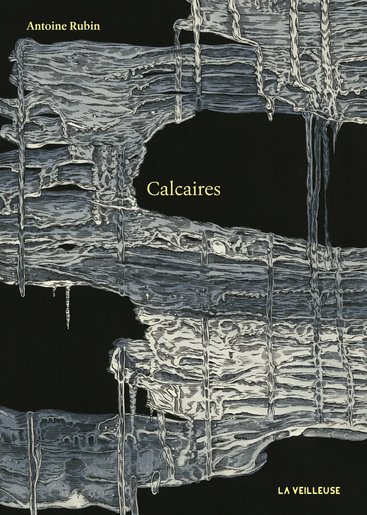 Antoine Rubin, Calcaires, Lausanne, La Veilleuse, 2025.
