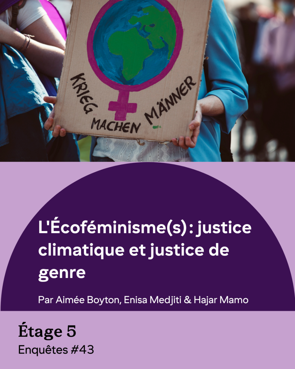 l'écoféminisme(s) justice climatique et justice de genre(1)