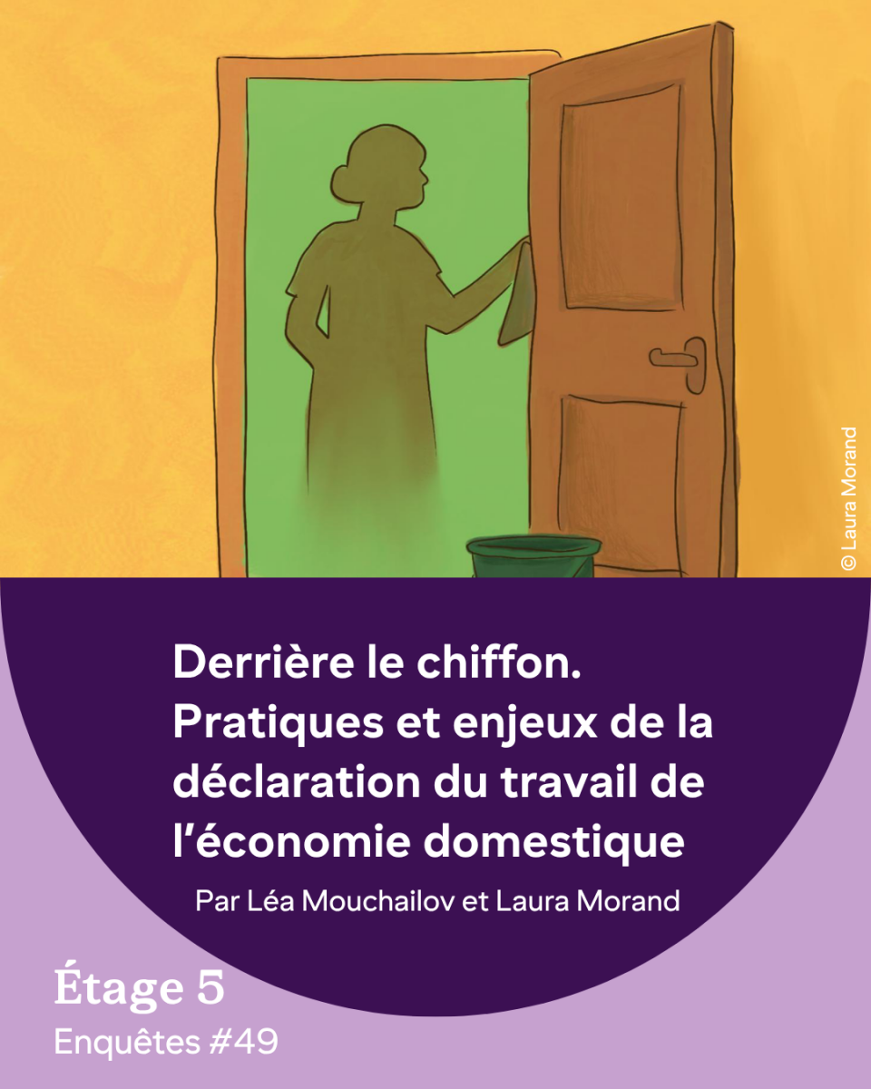 derrière le chiffon. pratiques et enjeux de la déclaration du travail de l’économie domestique
