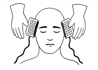 cerveau