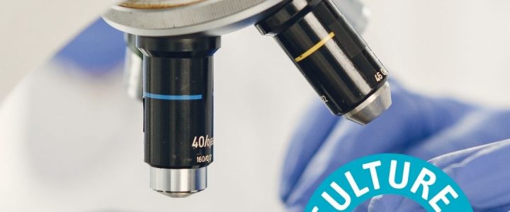 les microbes sous la loupe