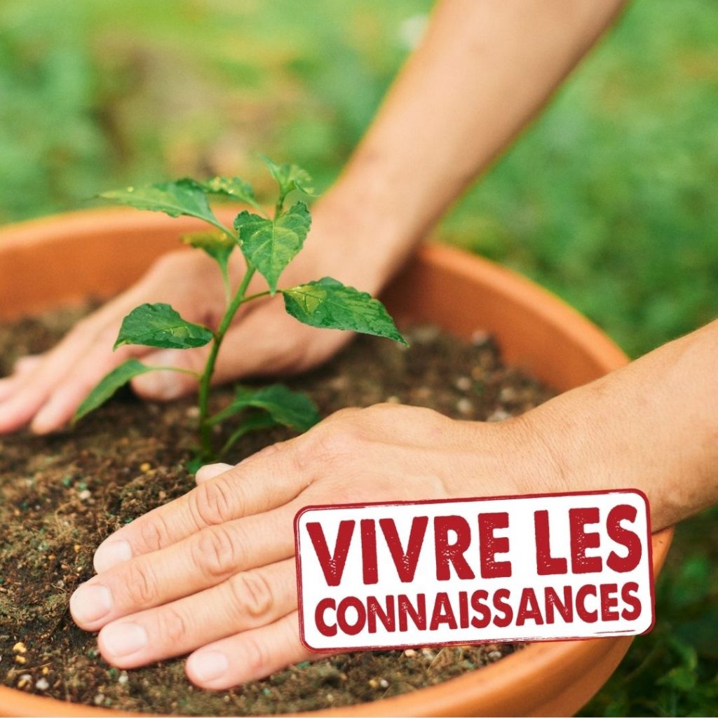 vivre les connaissances