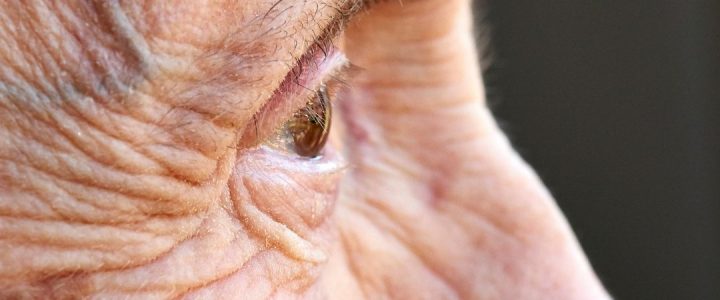 Science, santé et philosophie – Le vieillissement: regards croisés 13. le vieillissement regards croisés
