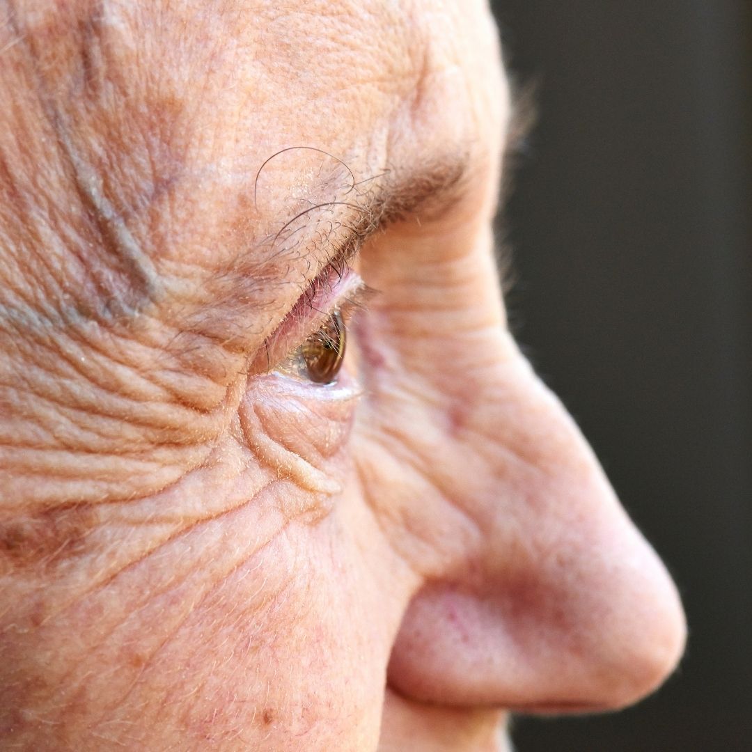 13. le vieillissement regards croisés