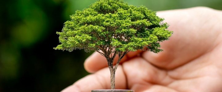 Environnement – Économie, eau et énergies: de la désillusion à l’action 24. Économie, eau et énergies