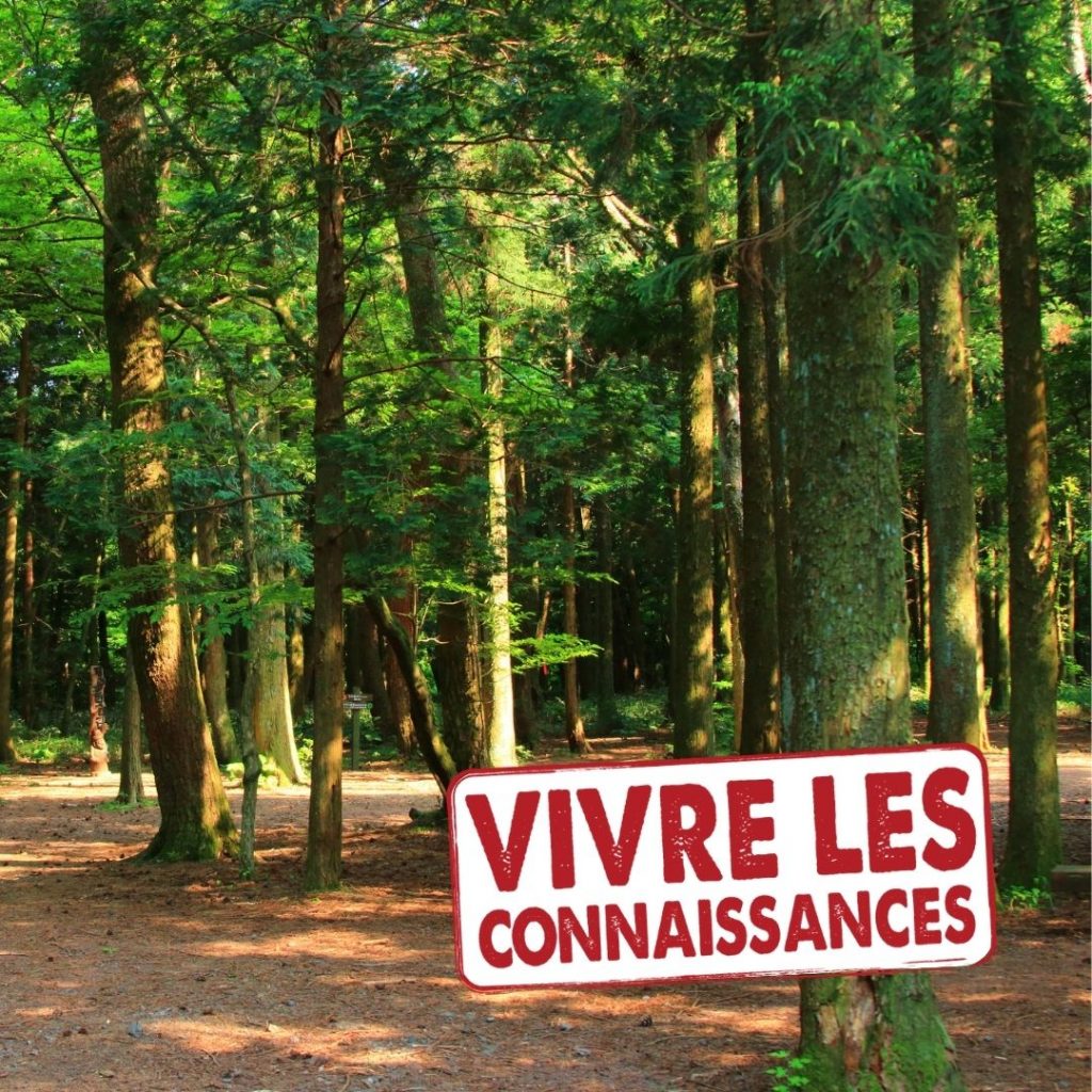 26. vivre les connaissances