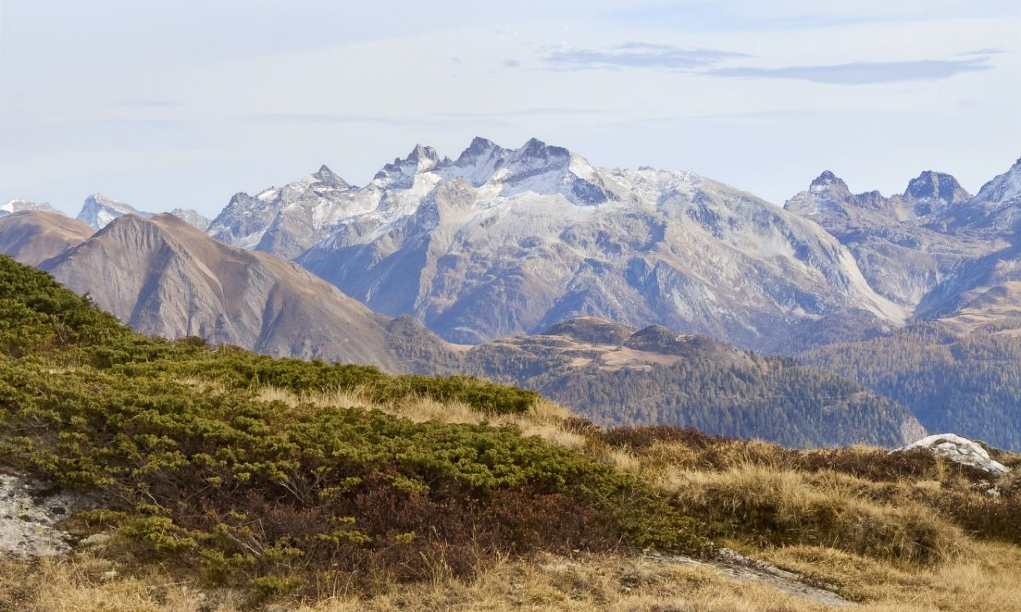 bz 20211019 b3a4583 upscaled small