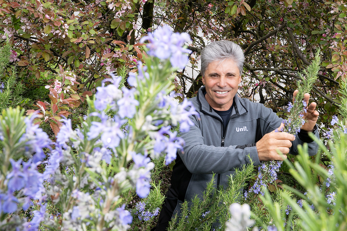 josé matias da silva