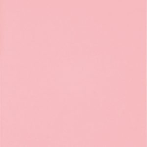 Dossier A4 Ordo Discreta rose