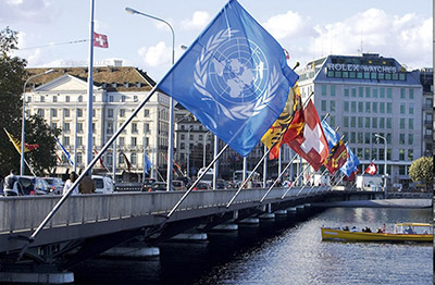 sinergia