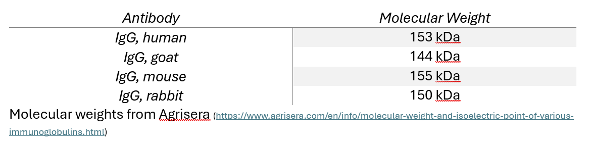screenshot 2025 03 12 181217