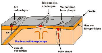 Figure 2: Les différents environnements magmatiques. A chaque environnement, un type de volcanisme particulier est associé. Pour les rides, on parle de volcanisme tholeiitique, dans le cas des zones de subduction, de volcanisme calco-alcalin et dans le cas des points chauds, de volcanisme alcalin. Cette nomenclature a été établie en fonction de la composition chimique des laves émises dans chaque contexte.