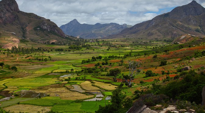 Espèces exogènes envahissantes et justice sociale à Madagascar
