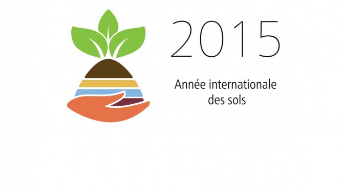 Retour sur l’année internationale des sols (2015)