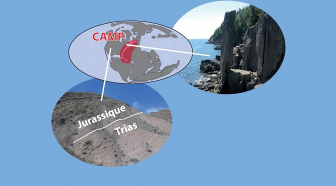 Bouleversements de la vie sur Terre : tout est dans le timing