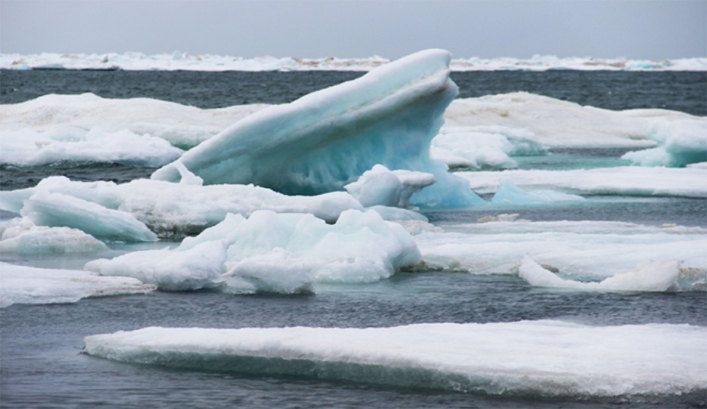 La glace dérivante estivale à Barrow (Source : Aude Weber)