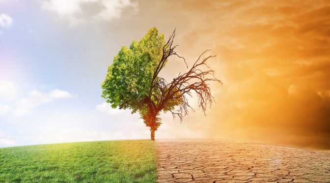 Rétrospective météo été 2017