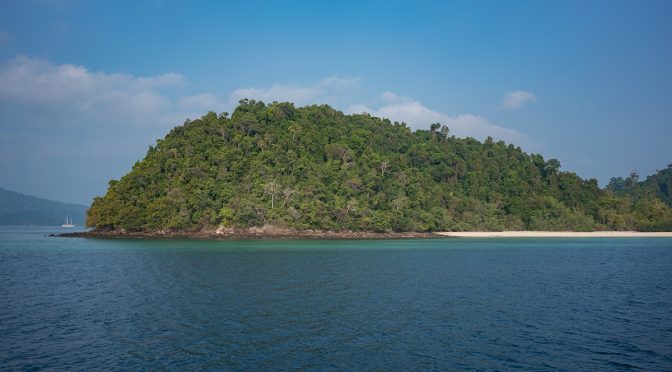 Les gitans des mers menacés