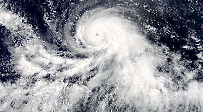 Rétrospective automne et année 2018