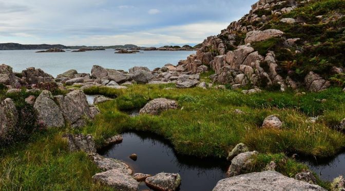 L’écologie intégrale pour réduire l’empreinte écologique dans les limites de la biosphère : compte-rendu
