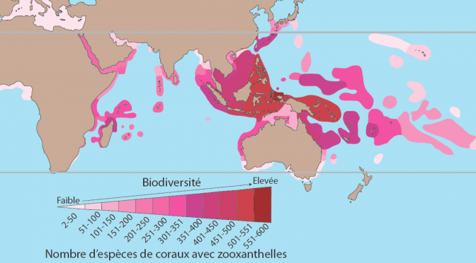 Réchauffement et eutrophisation des océans – résilience des communautés coralliennes en fonction de leur évolution