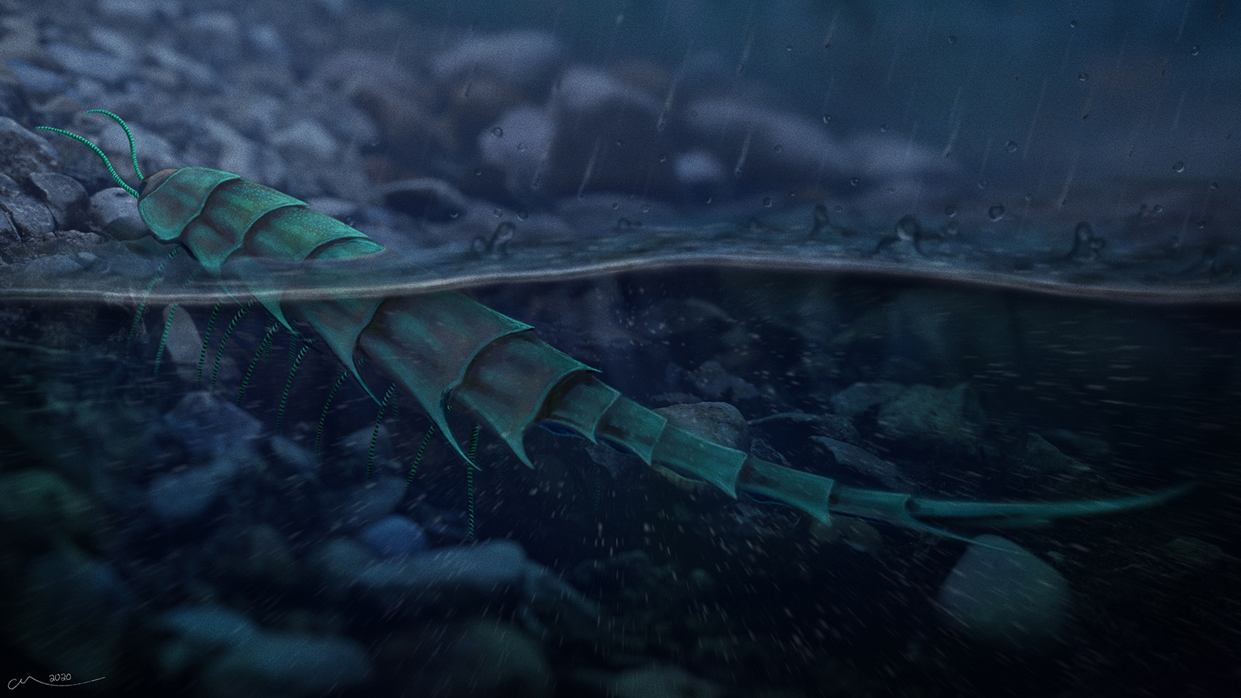 Ressorti récemment du fond d’un tiroir, un fossile nous éclaire sur la sortie des eaux des mille-pattes, débutée il y a 500 millions d’années