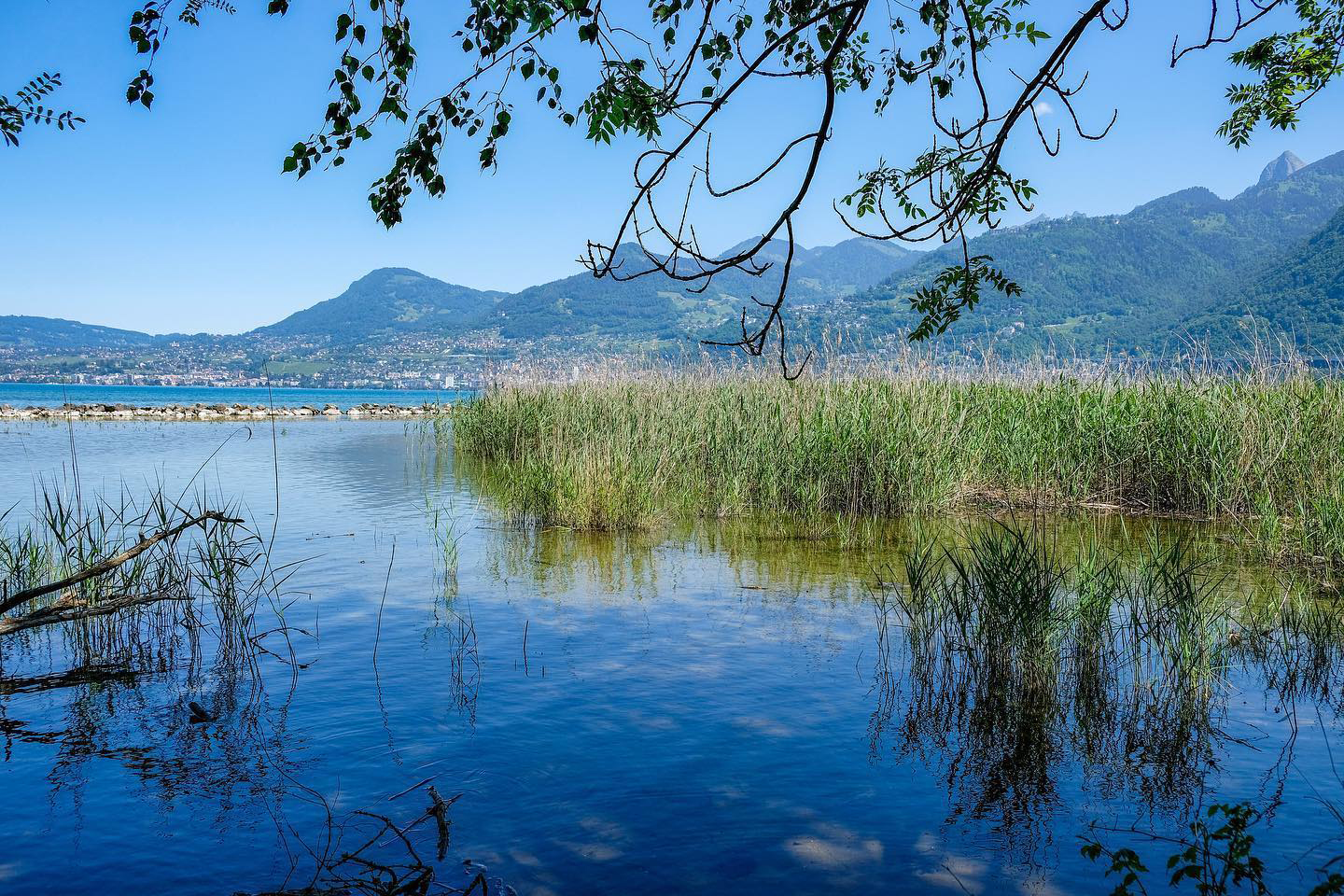 Aménagement : les rives du Léman « sous enquête »