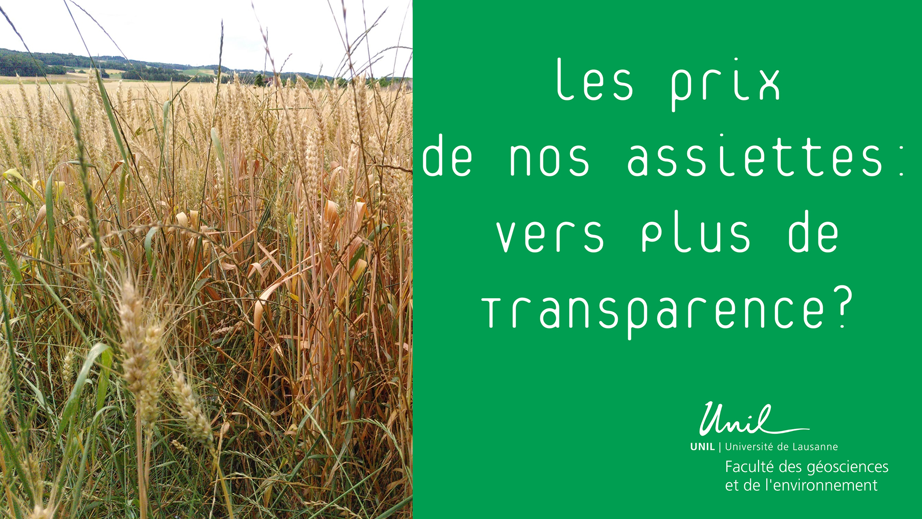 De la ferme à nos assiettes : quelles marges dans les filières ?