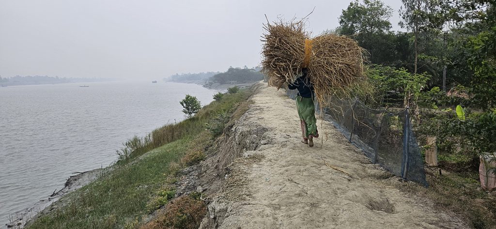 ENGAGE4Sundarbans : Social Resilience in the Sundarbans – India and Bangladesh