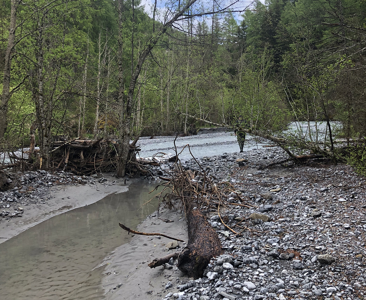 Wood source to sink: advancing the understanding of instream wood transfer through river networks