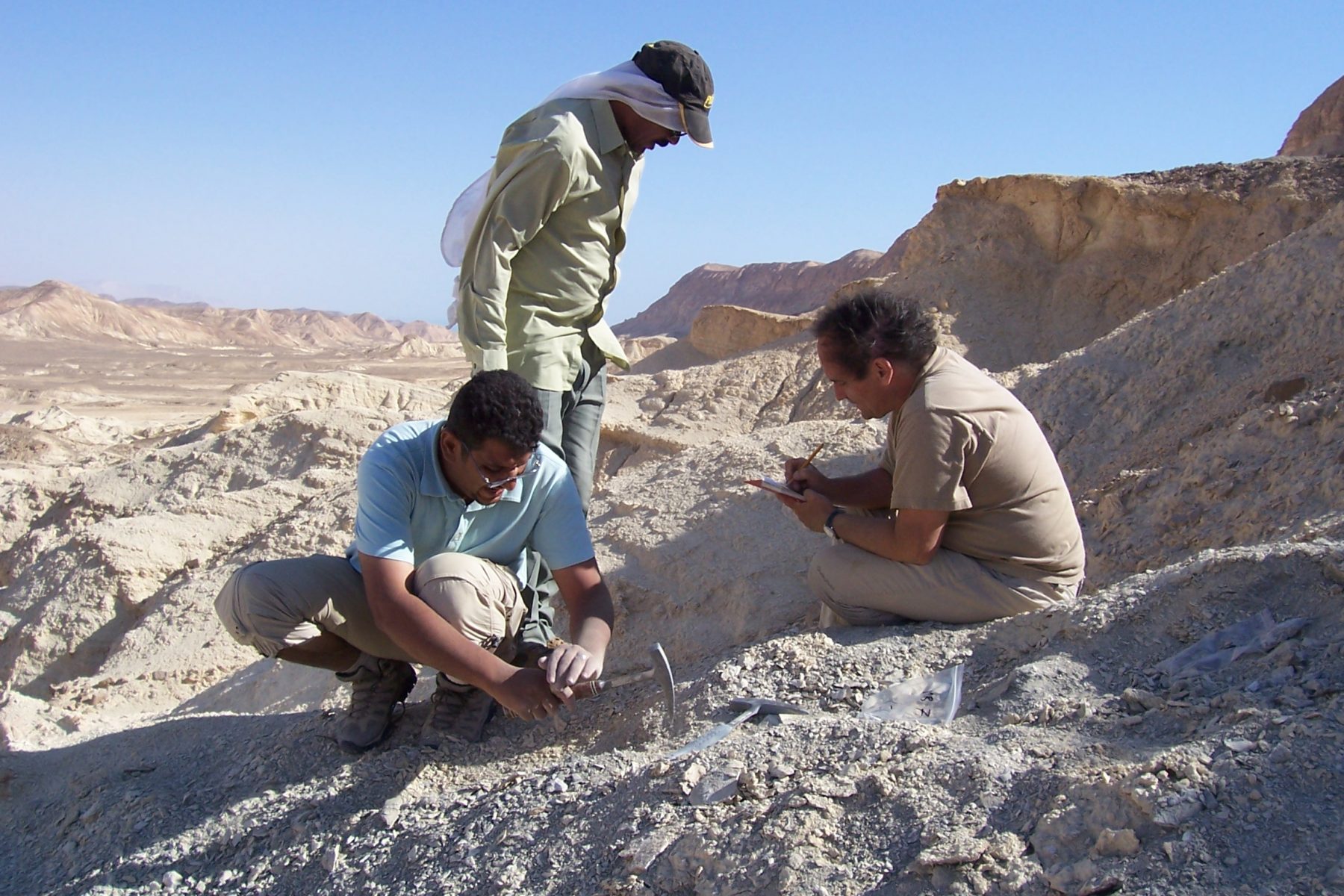 Echantillonnage Maastrichien, Sinai, Egypte