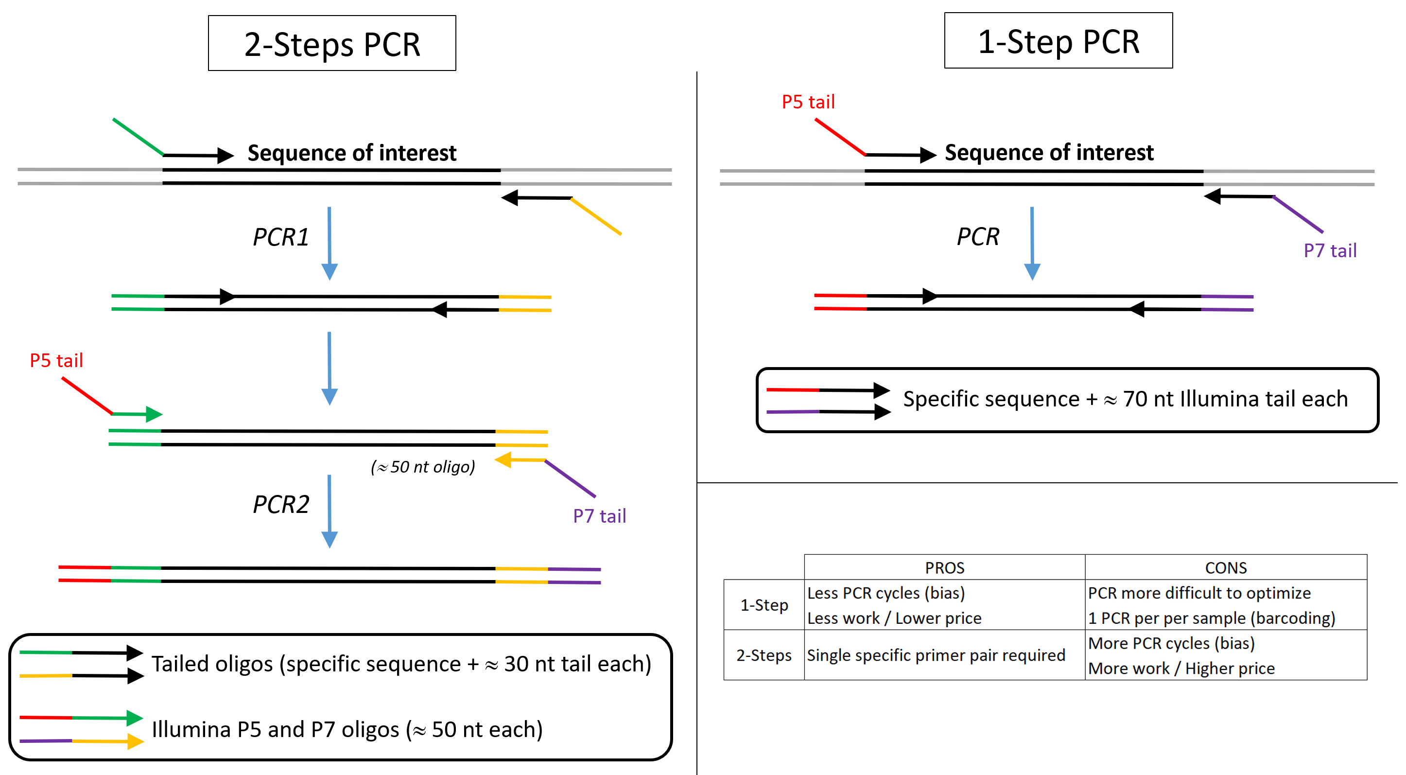 illumina sequencing library preparation