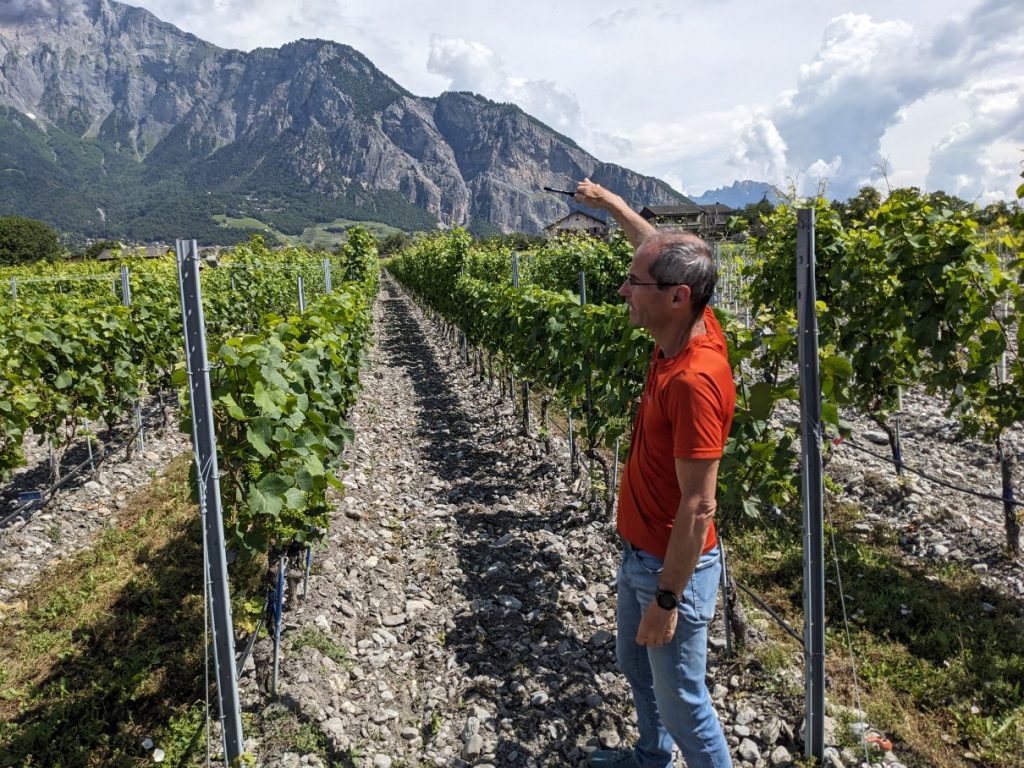 Vivian Zufferey showing the Agroscope's experimental vineyards in Leytron