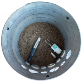 Lysimeter with soil and sensors