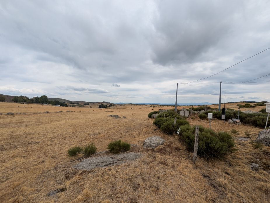 The grassland around the meteo station in Vialasse