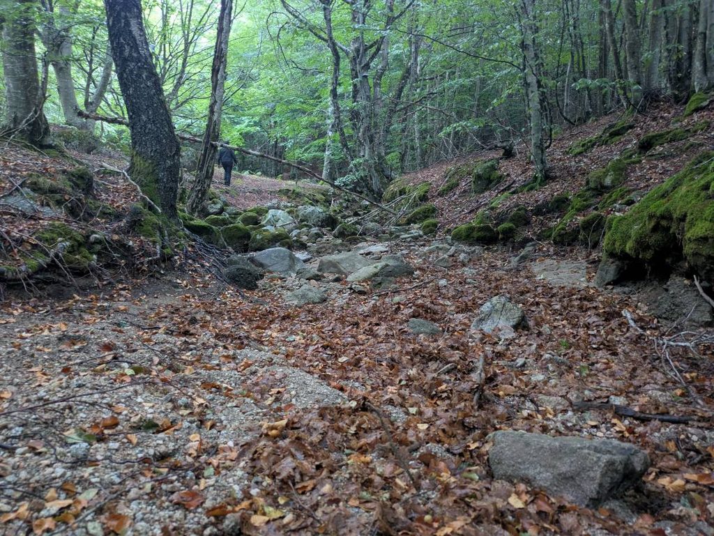 Dry streambed in Sapine