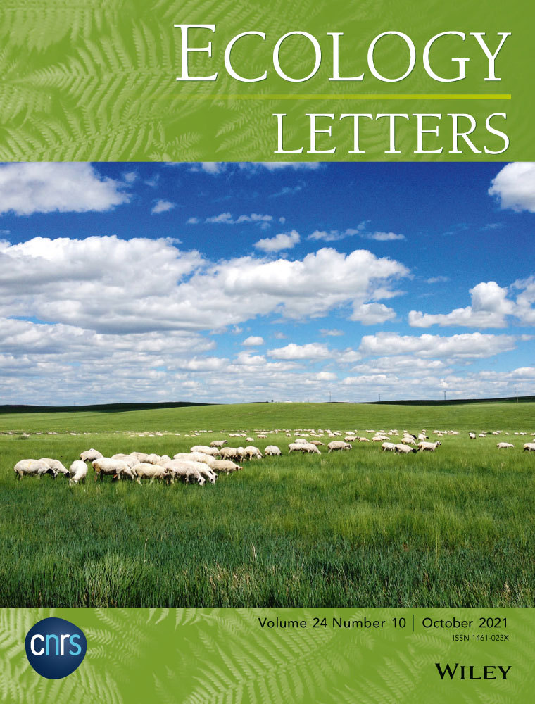 ele.v24.10.cover