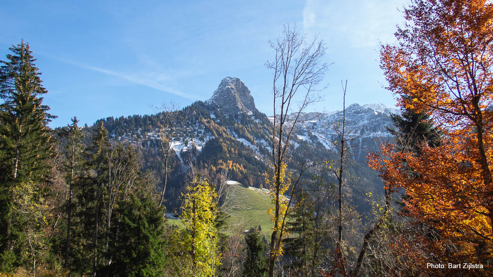 BZ_141108_003