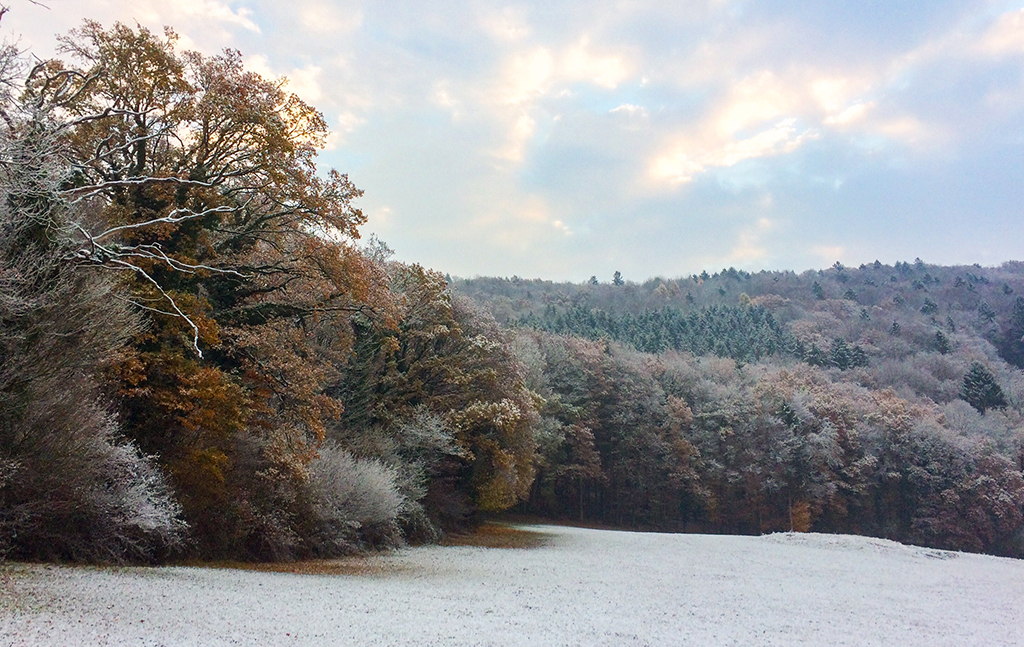 winter-3