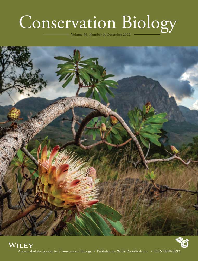 cobi.v36.6.cover